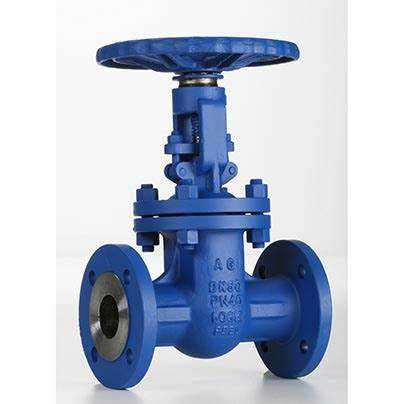 供應意大利Valvosider閥門、過濾器